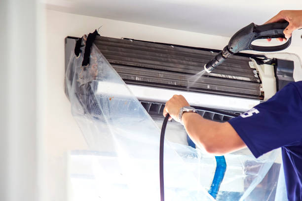Best Air Duct Mold Removal  in Coldwater, MI